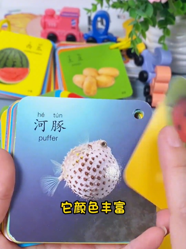 适合0-3岁宝宝的早教认知卡片,里面认知内容很齐全 启蒙早教