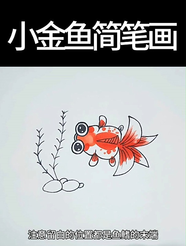 小金鱼简笔画怎么画