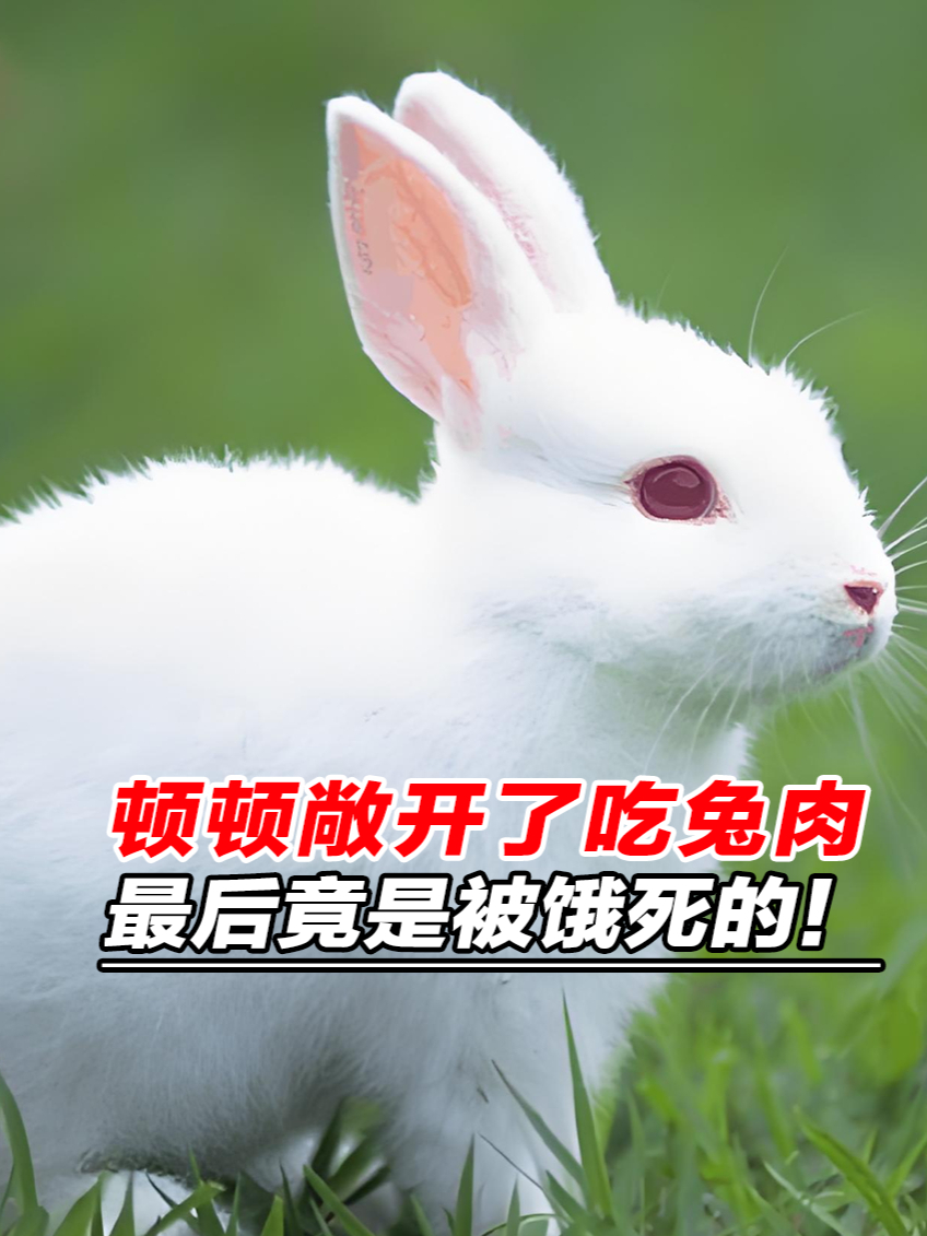 顿顿吃兔肉干吃不胖还会被饿死!网友:什么,能减肥?涨知识了