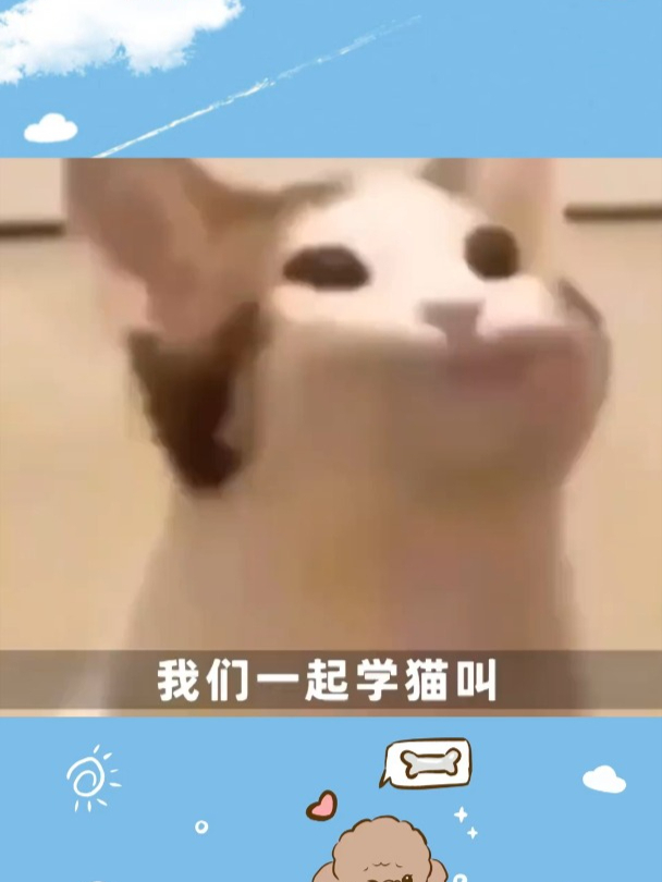 不知道的还以为斯图卡要投弹了 高能斯图卡叫声 猫和老鼠