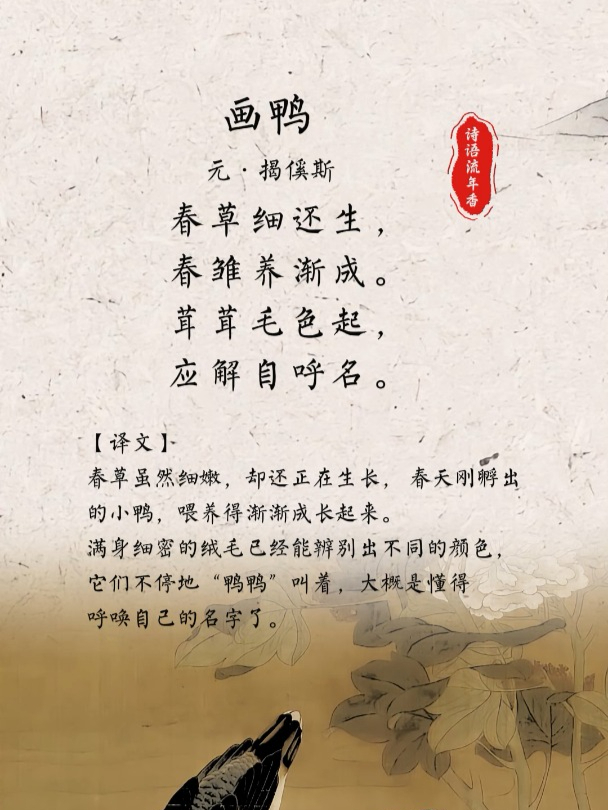 每日一首古诗词丨揭傒斯《画鸭》:茸茸毛色起,应解自呼名