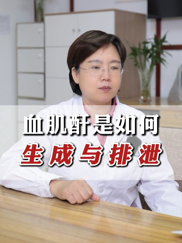 血肌酐究竟是如何生成与排泄的?