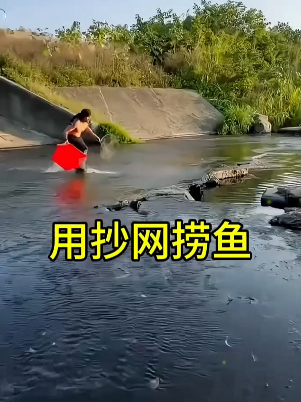 用抄网捞鱼