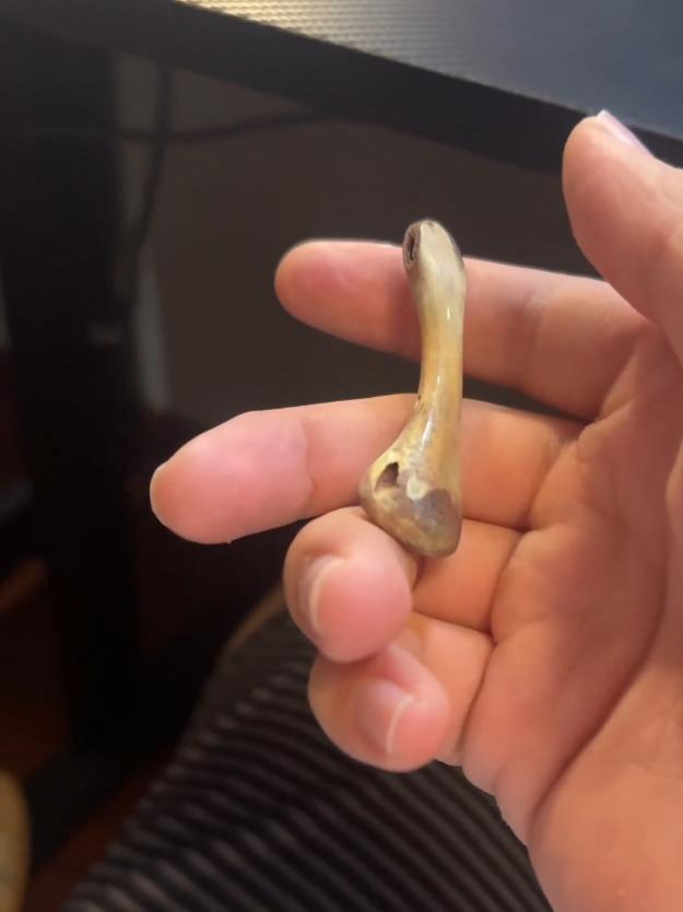 人可以无聊到什么程度?男子把鸡翅膀骨头盘得油光发亮的,网友:嗦一嗦骨头还有味道吗?