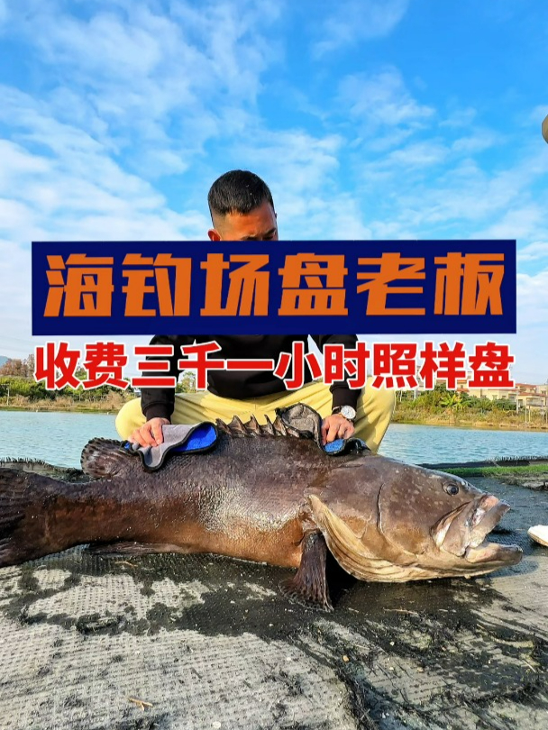 三千块一小时的钓费钓海鱼很过瘾