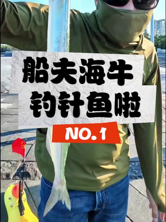 威海针鱼季!船夫海牛N8钓针鱼实战现场