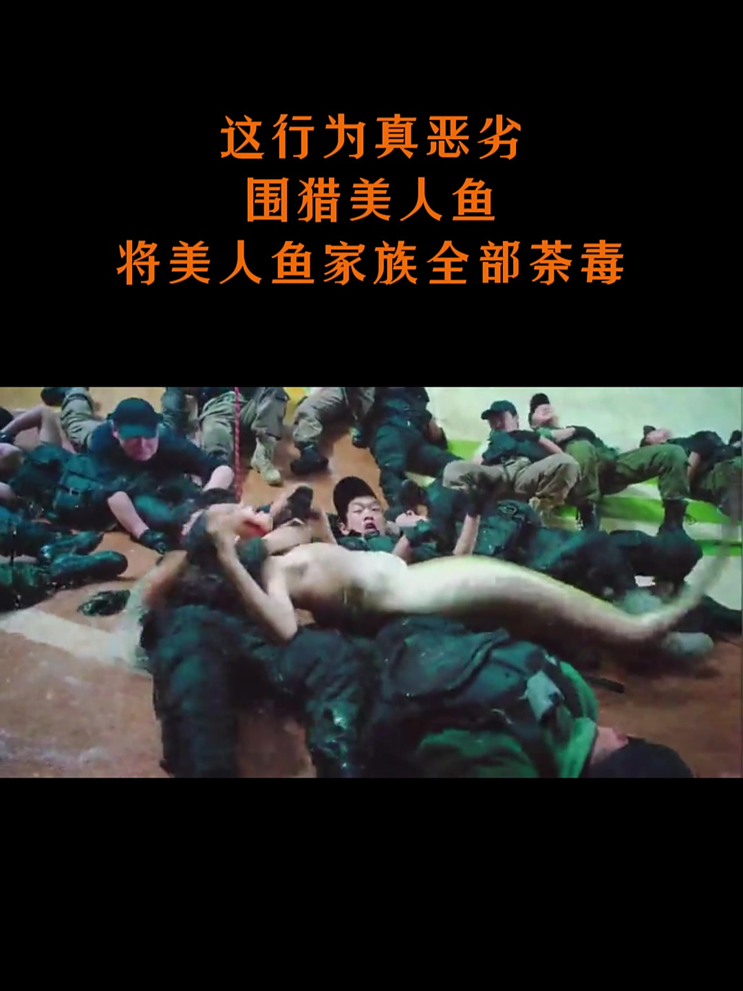 美人鱼:这行为真恶劣,围猎美人鱼,将美人鱼家族全部荼毒