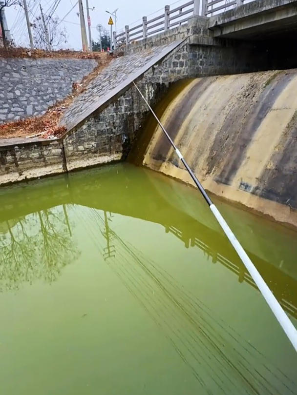 探钓雪天小野沟,野外垂钓,户外野钓