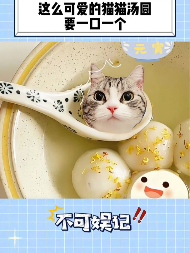超级可爱的猫猫汤圆