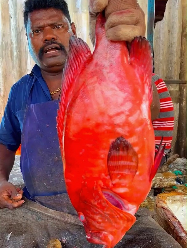 你知道这是什么鱼吗?看印度人都是如何处理这种鱼的,看着很解压