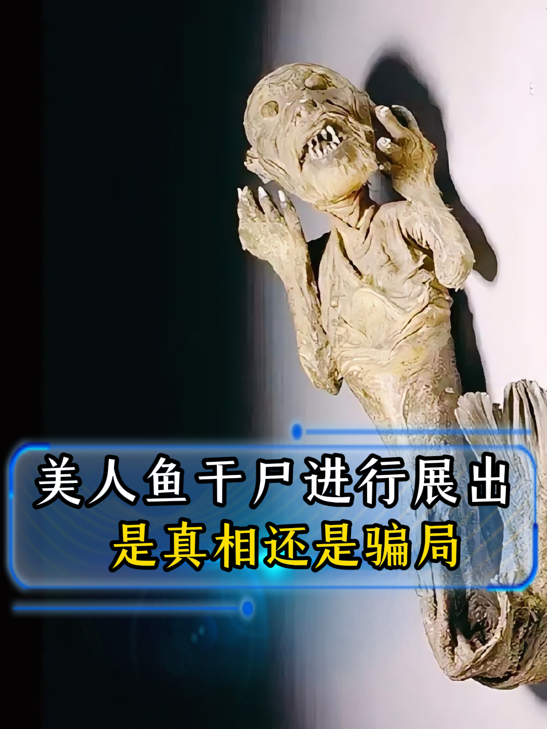 世界上真有美人鱼吗?美人鱼干尸进行展出,是真相还是骗局