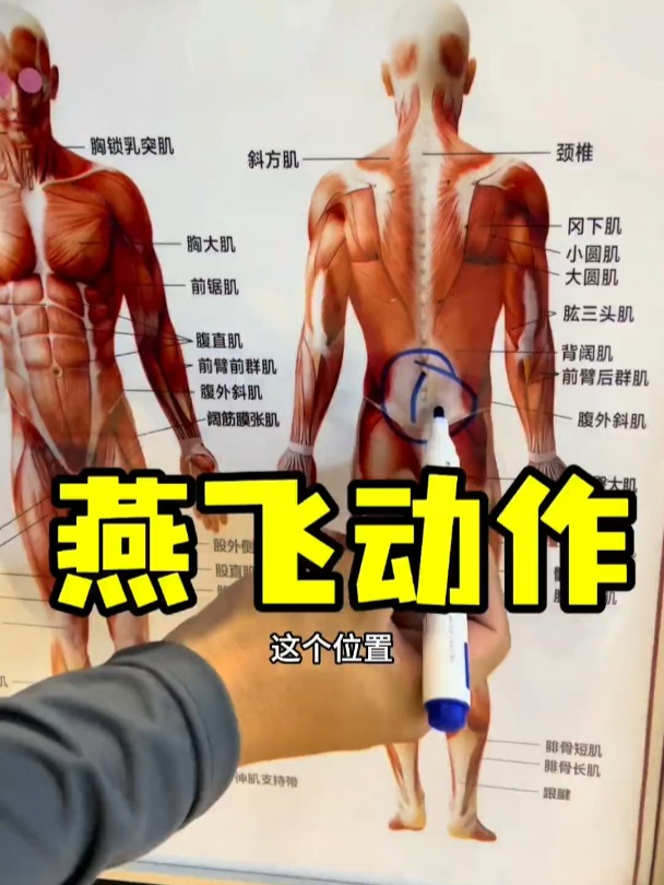 久坐办公室,练练这个下背部肌肉训练的动作,记得循序渐进