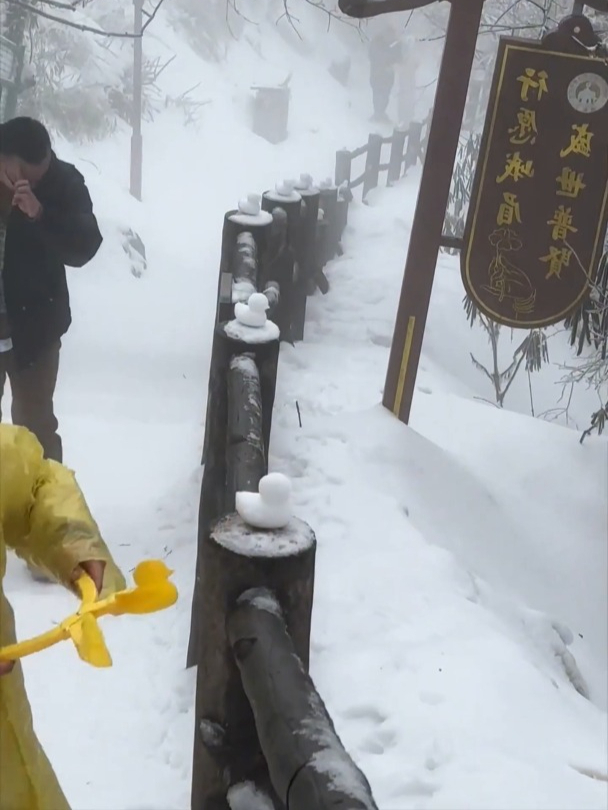 男子边爬峨眉山边玩雪,每个木头墩墩一个鸭,网友:好可爱