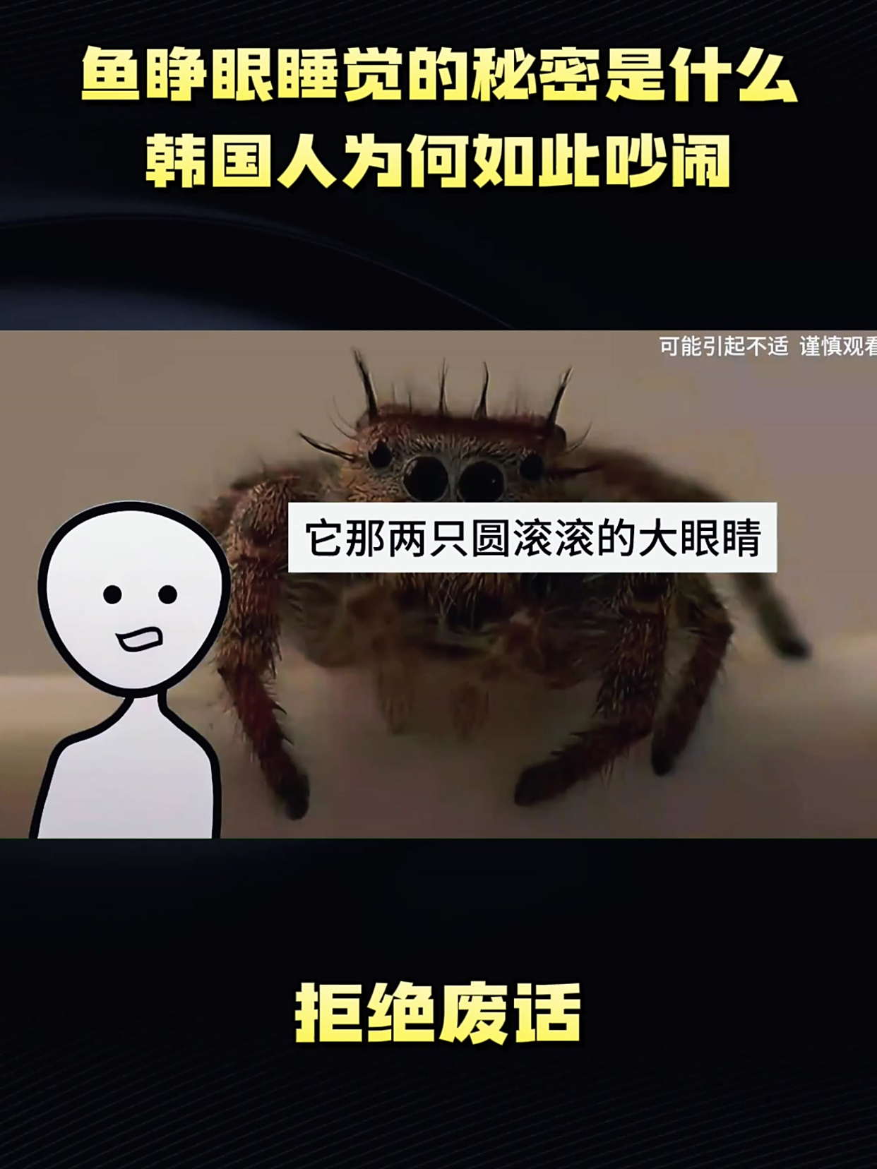 鱼睁眼睡觉的秘密是什么,韩国人为何如此吵闹