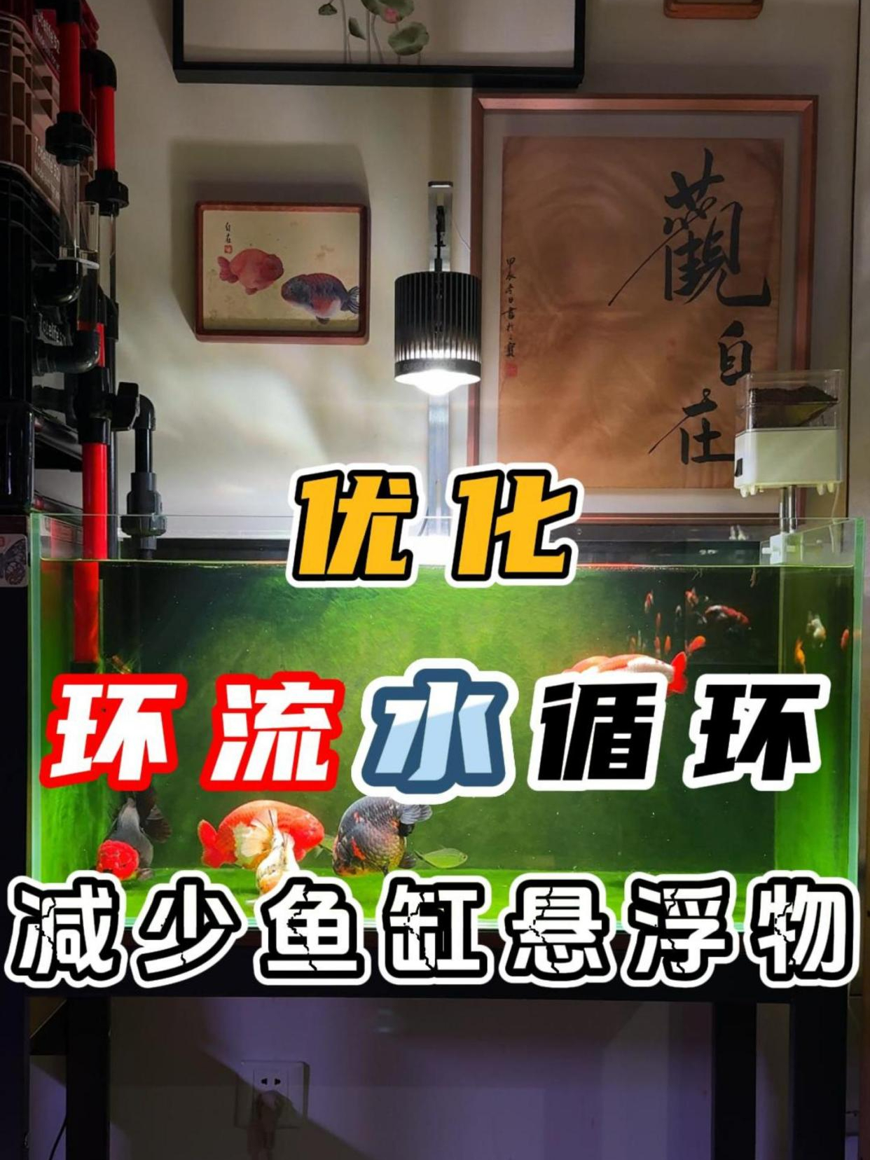 鱼缸悬浮物多怎么办?优化轨迹环流水循环,减少缸内悬浮物和鱼便