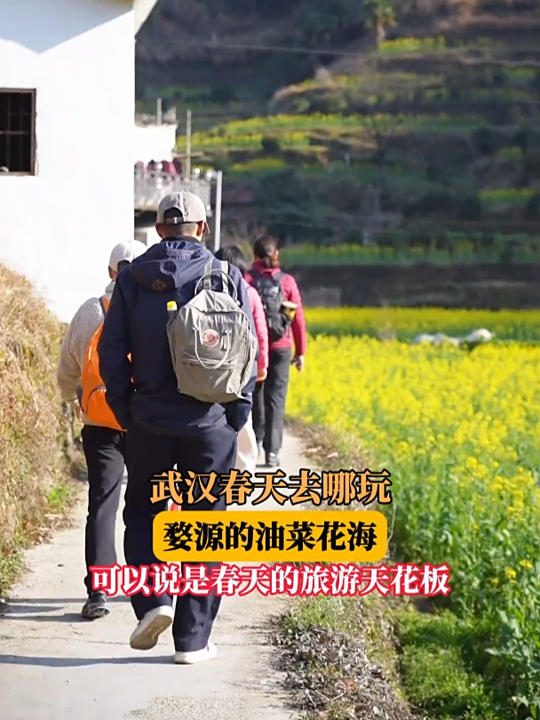 武汉春天去哪玩,婺源的油菜花海可以说是春天的旅游天花板