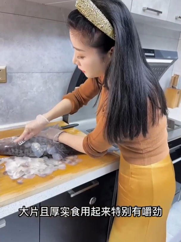 6000元买了一条全世界最贵的淡水鱼,忘不了鱼