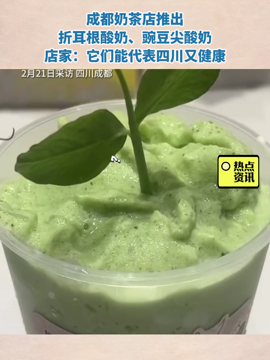 成都奶茶店推出折耳根酸奶、豌豆尖酸奶