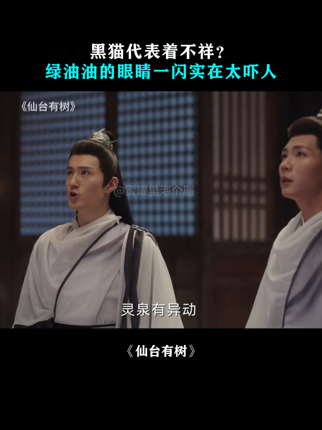 仙台有树:黑猫代表着不祥?绿油油的眼睛一闪实在太吓人