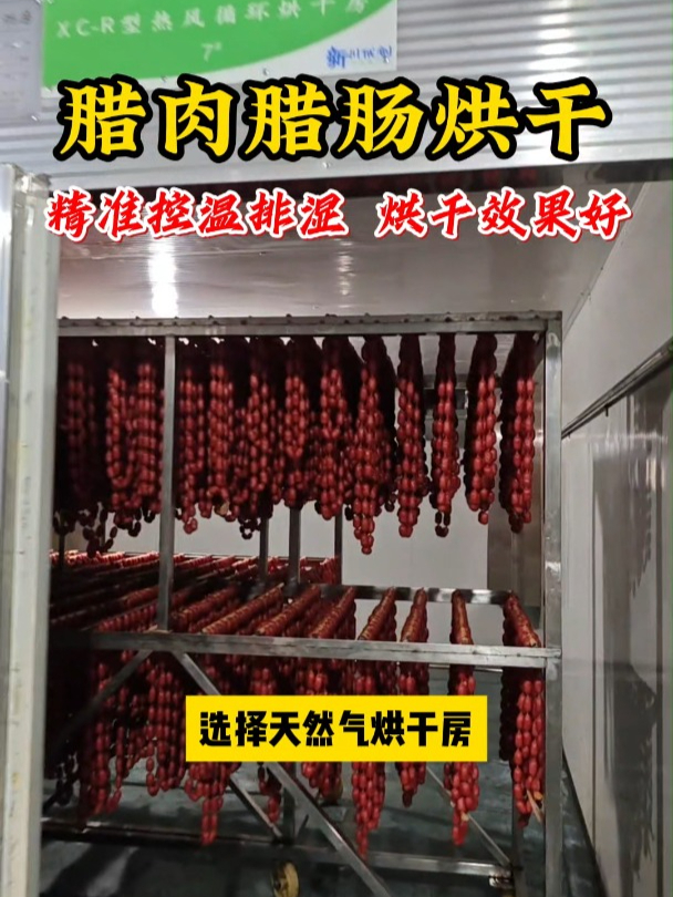 腊肉腊肠烘干房设备-精准控温排湿,烘干效果好