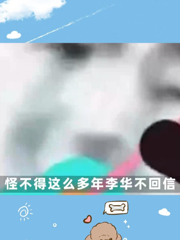 到底是谁给你翻译的 翻译 离谱