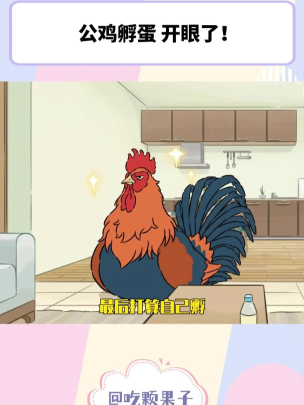 卯日星君成名作:《公鸡孵蛋》开眼了!