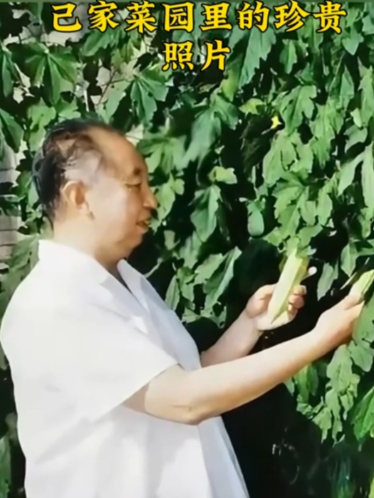 华老退休后,在自己家菜园里的珍贵照片
