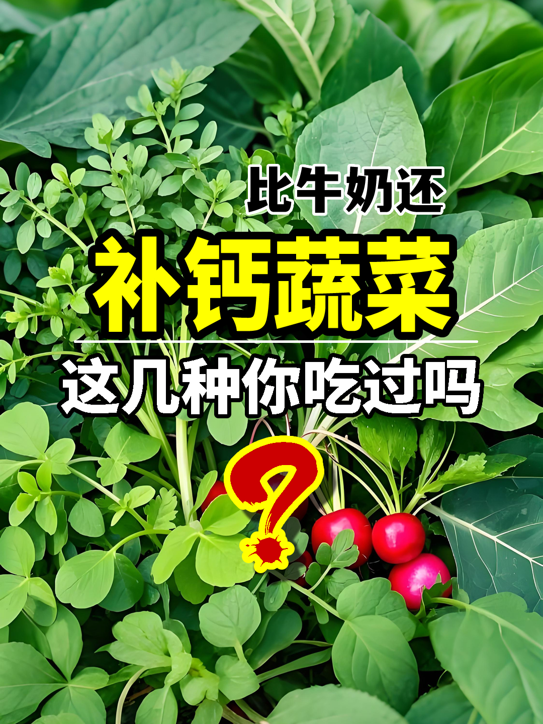 比牛奶还补钙的蔬菜,这几种你吃过吗?