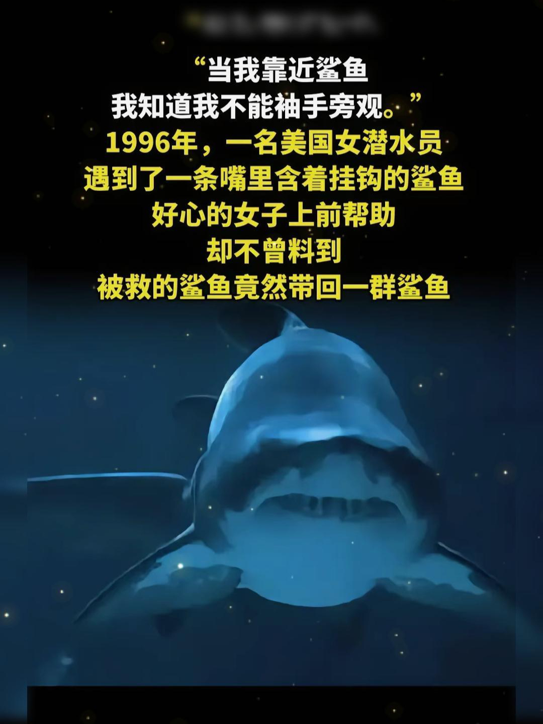 我知道我不能袖手旁观,一美女潜水员救鲨鱼,反遭群鲨围咋回事?