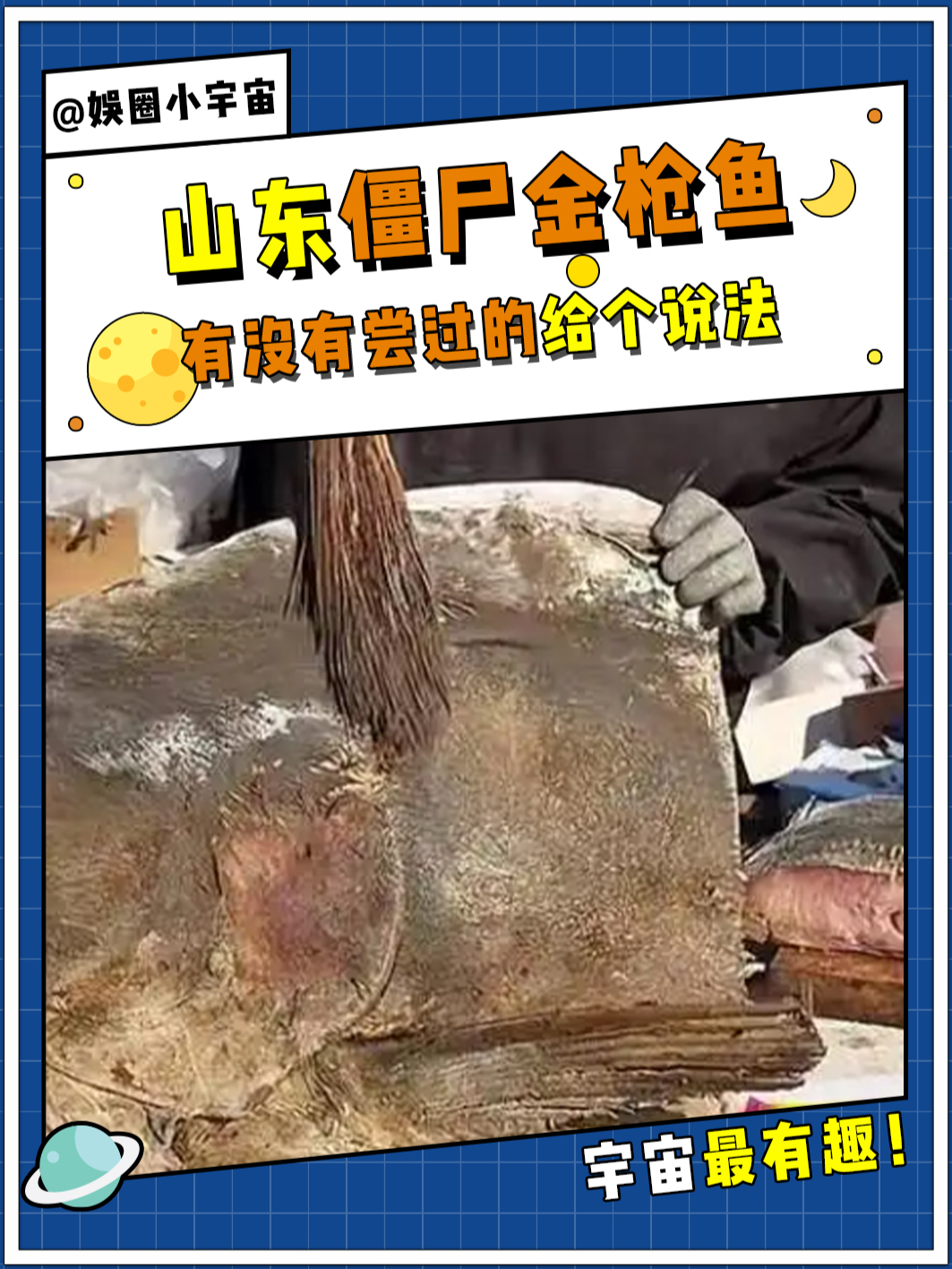 山东僵尸金枪鱼,有没有尝过的给个说法