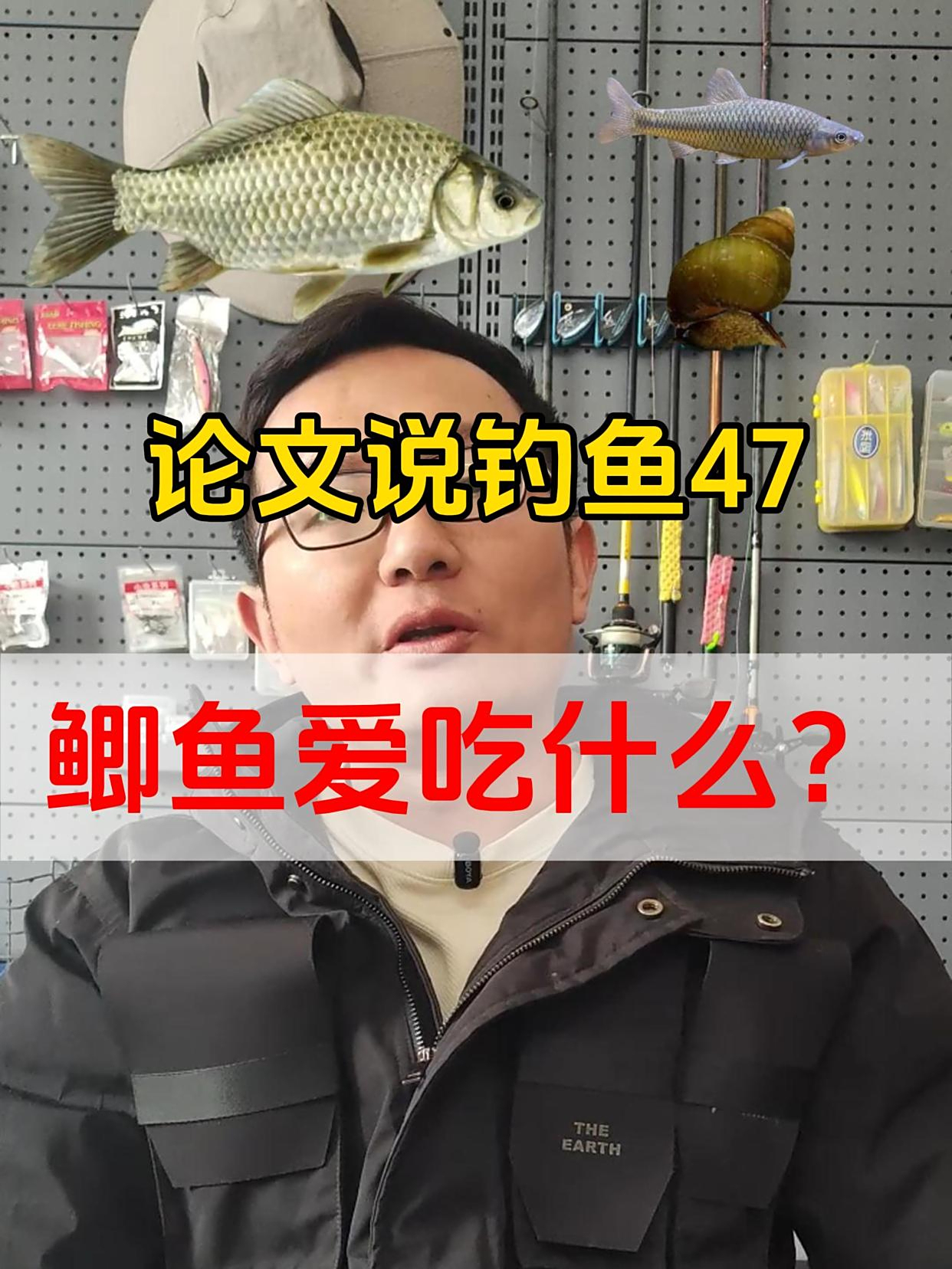 鲫鱼爱吃什么?