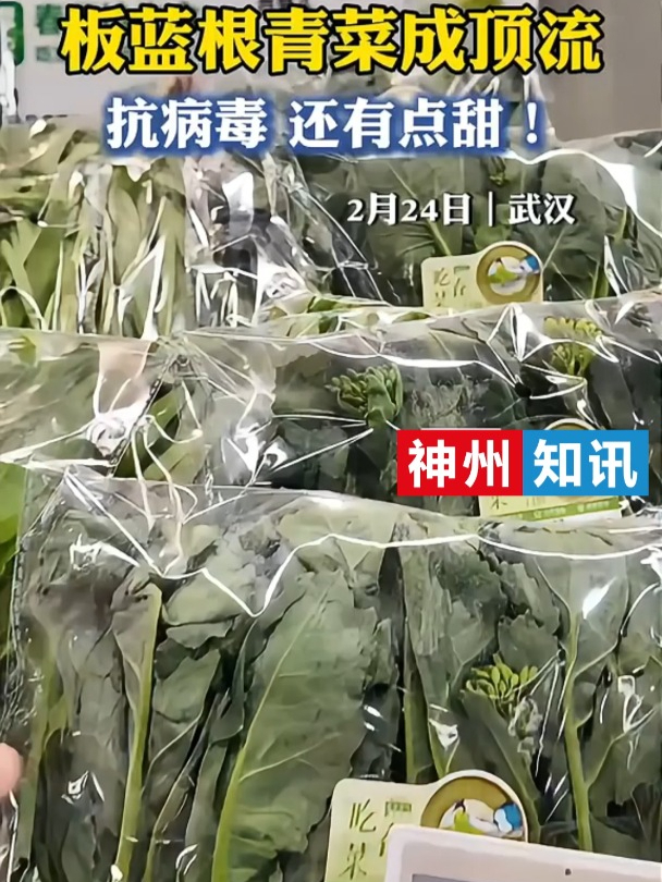 “板蓝根青菜”武汉开卖,味道有点甜,成春菜界新宠