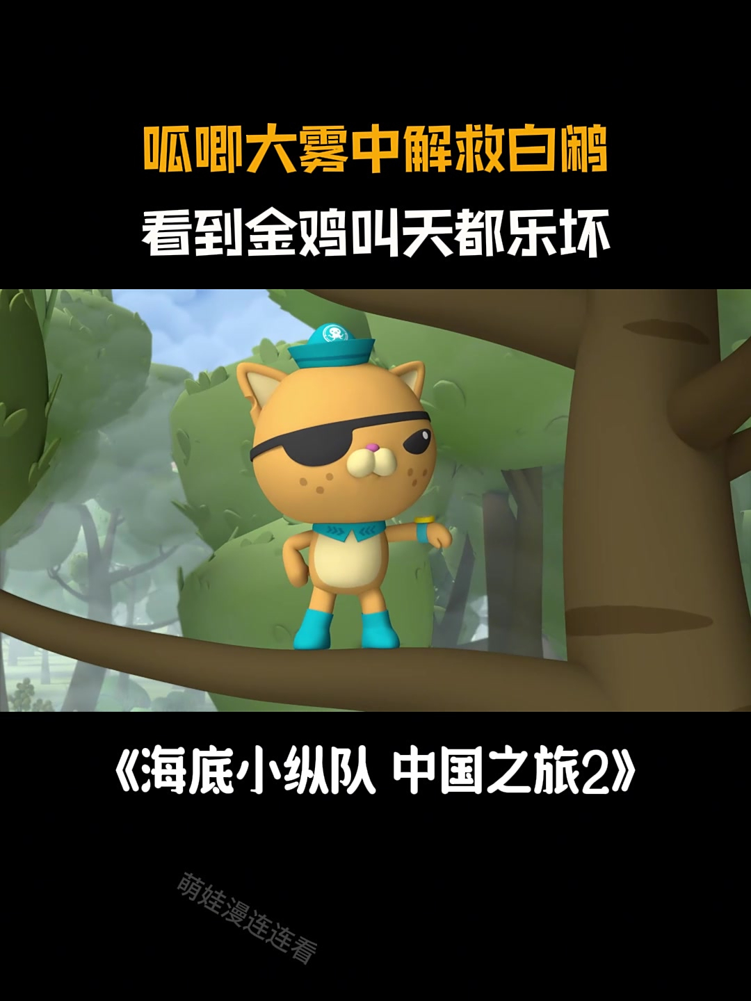 海底小纵队:呱唧借大雾解救白鹇,看到金鸡叫天都乐坏