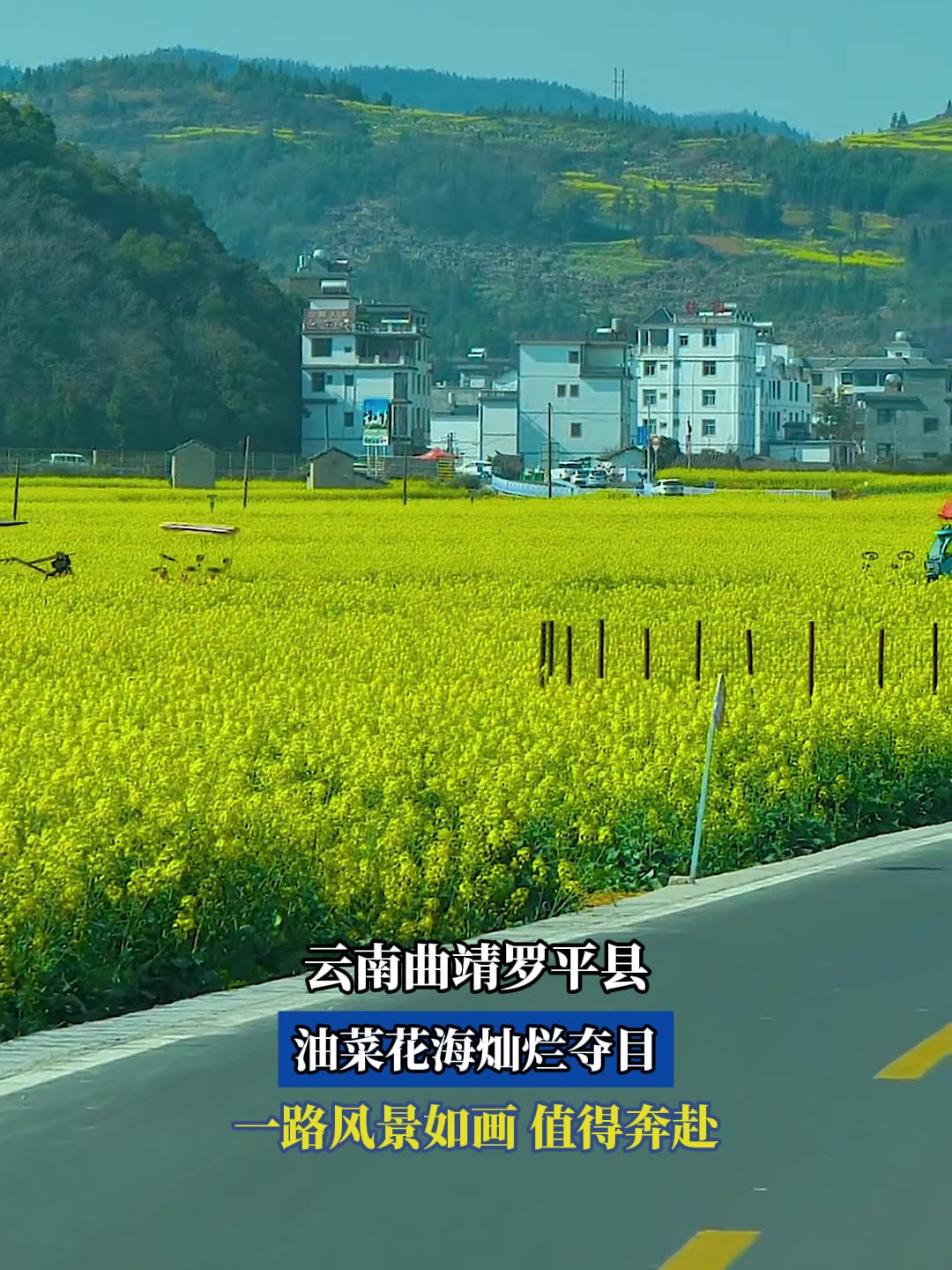 云南曲靖罗平县,油菜花海灿烂夺目,一路风景如画,值得奔赴!