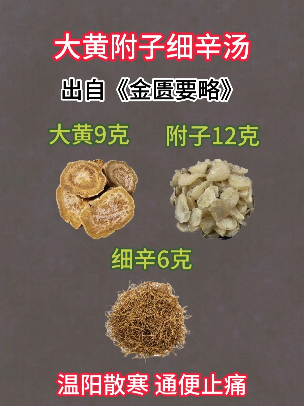 大黄附子细辛汤—温阳散寒 通便止痛