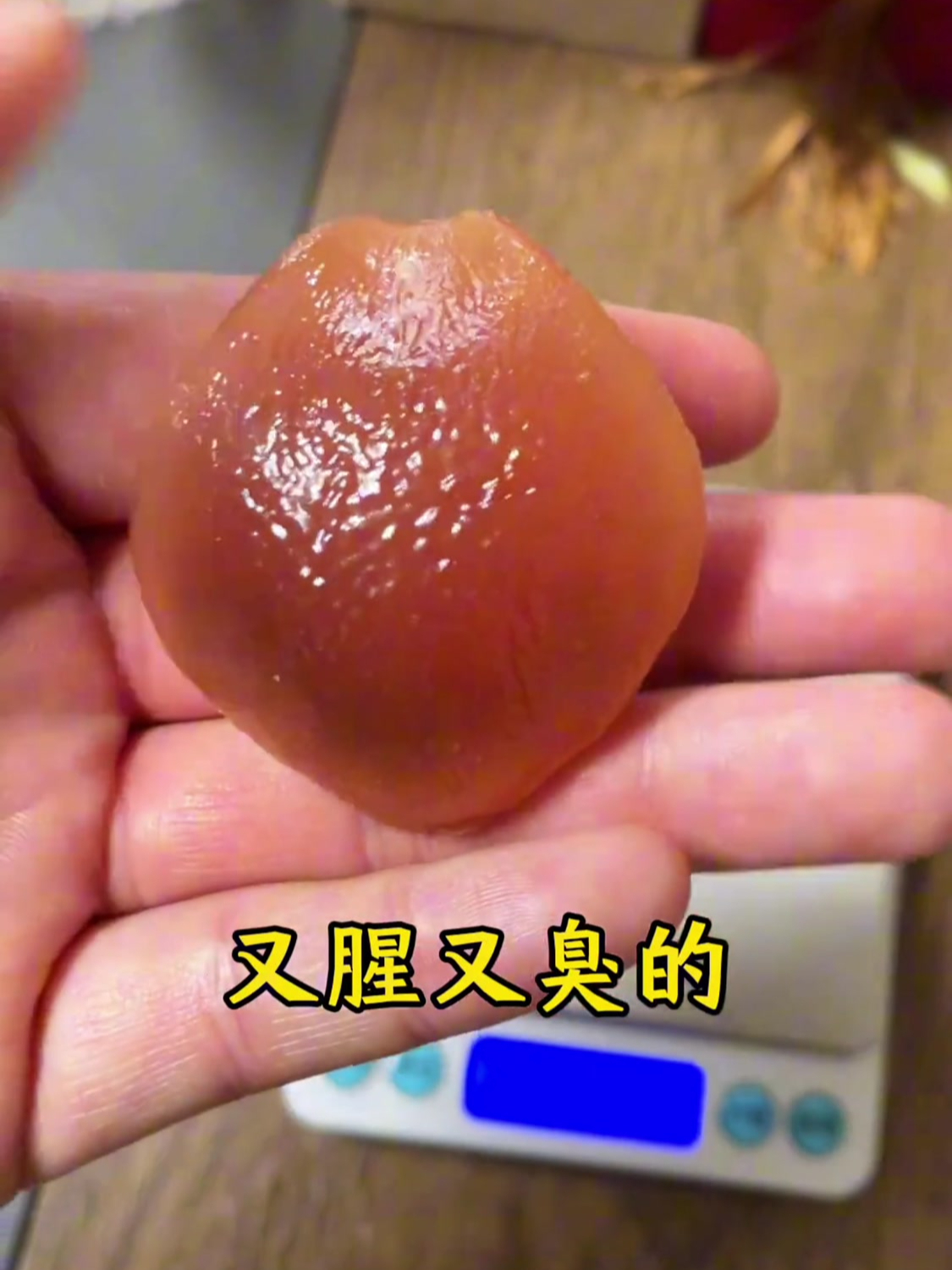鱼头上的石头是什么,有什么用,这个视频告诉你