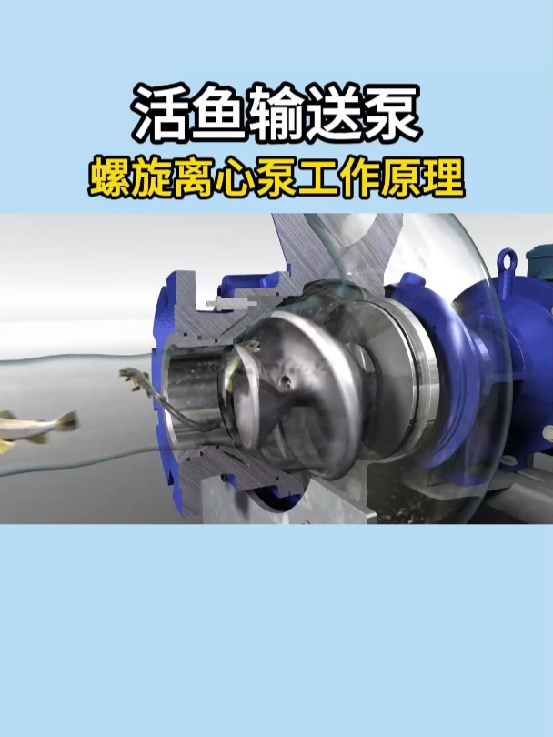 活鱼运输逆天操作!揭秘抽鱼黑科技核心原理!