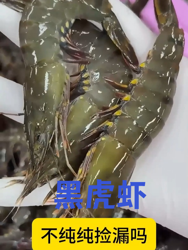 什么是黑虎虾?虾青素超过普通虾20%,感兴趣的快来看一看