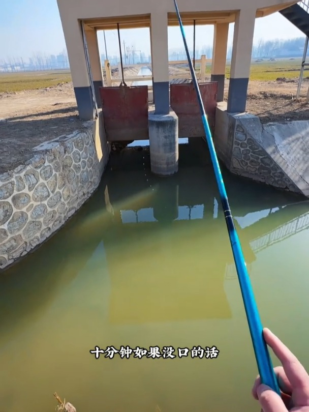 探钓田间地头地上河,野河野钓