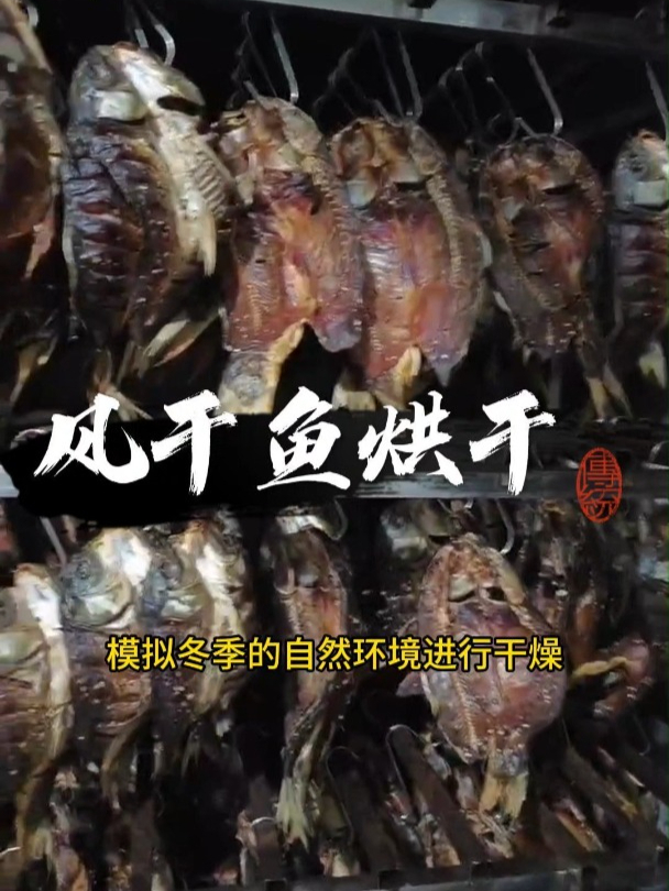 风干鱼烘干机设备-低温冷风风干房,烘干出来效果好