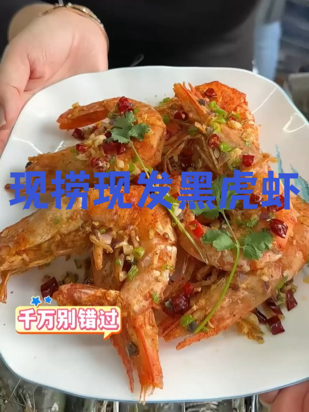 你吃过这样的黑虎虾吗?产地直采!活捞的黑虎虾!