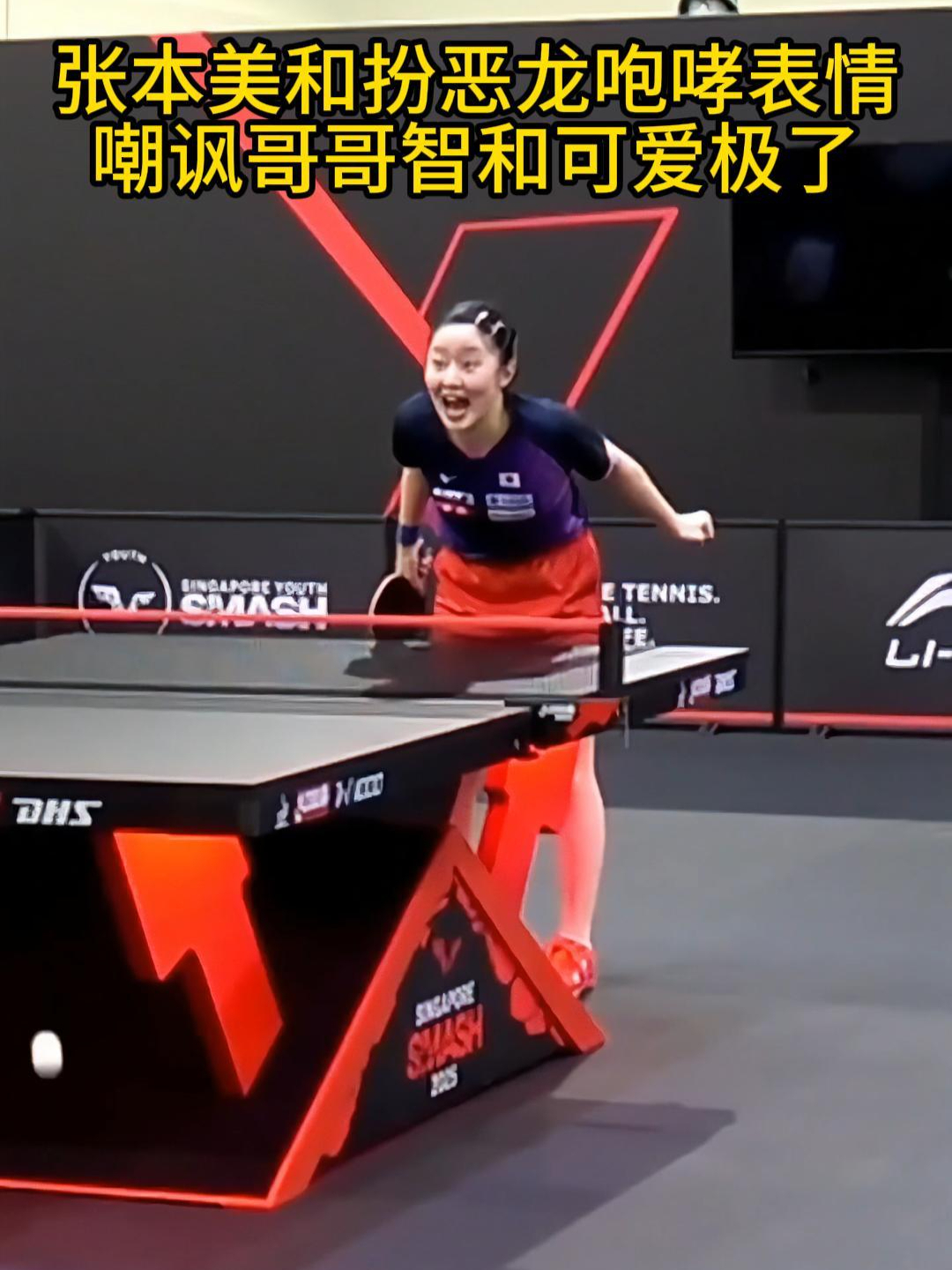 张本美和扮恶龙咆哮表情嘲讽哥哥智和可爱极了