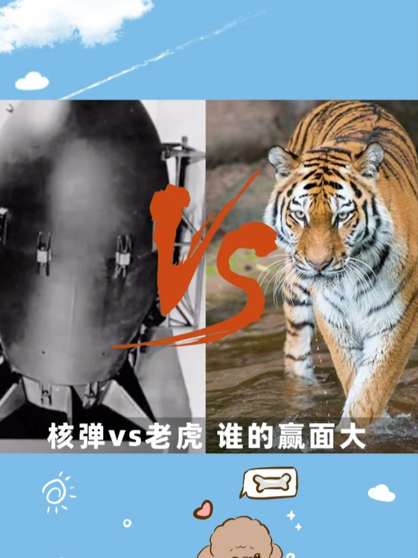老虎和核弹哪个更厉害 谁的赢面大 老虎vs核弹