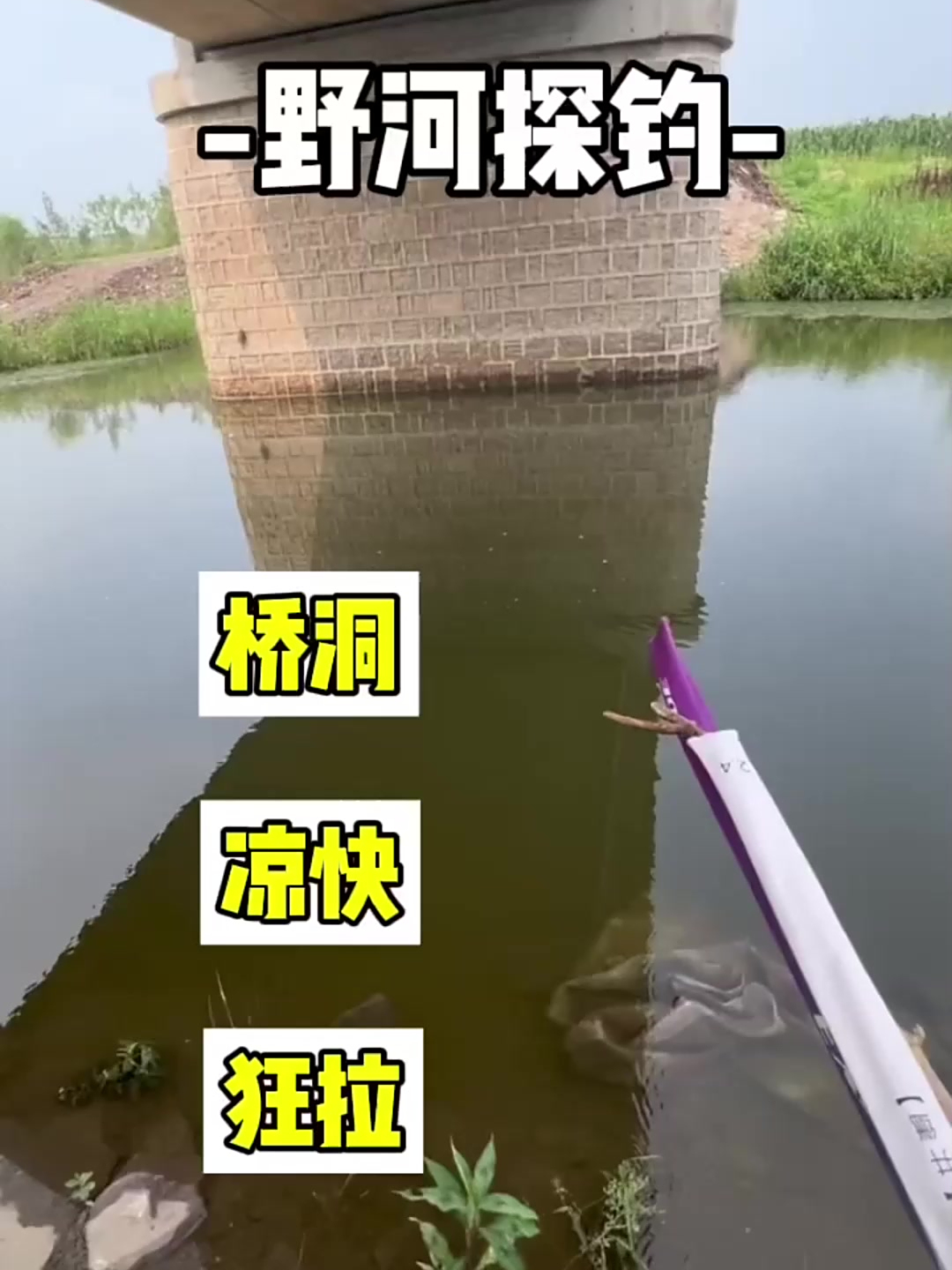 桥洞底下钓鱼,简直不要太舒服