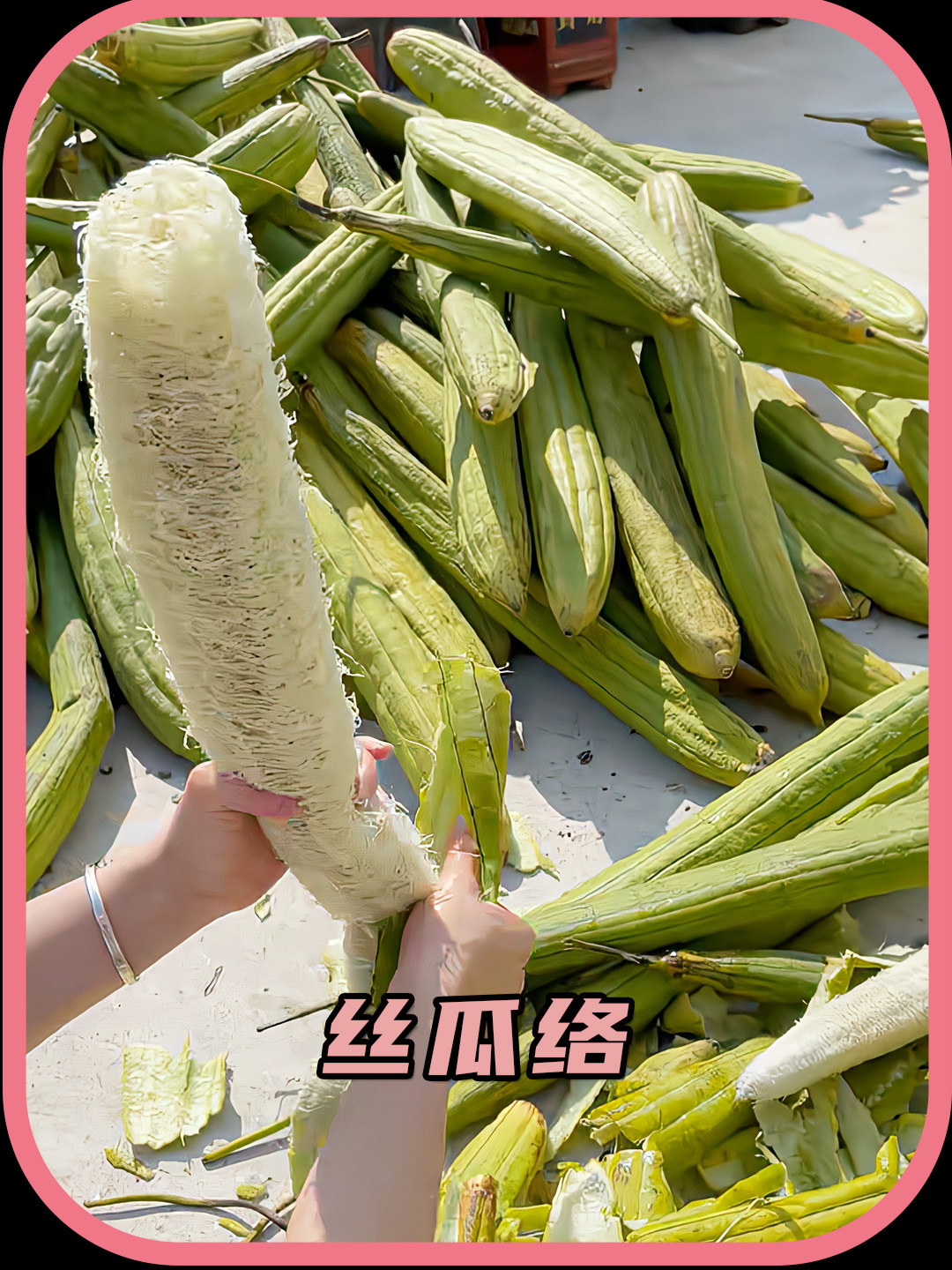 你见过丝瓜络蒸笼垫吗