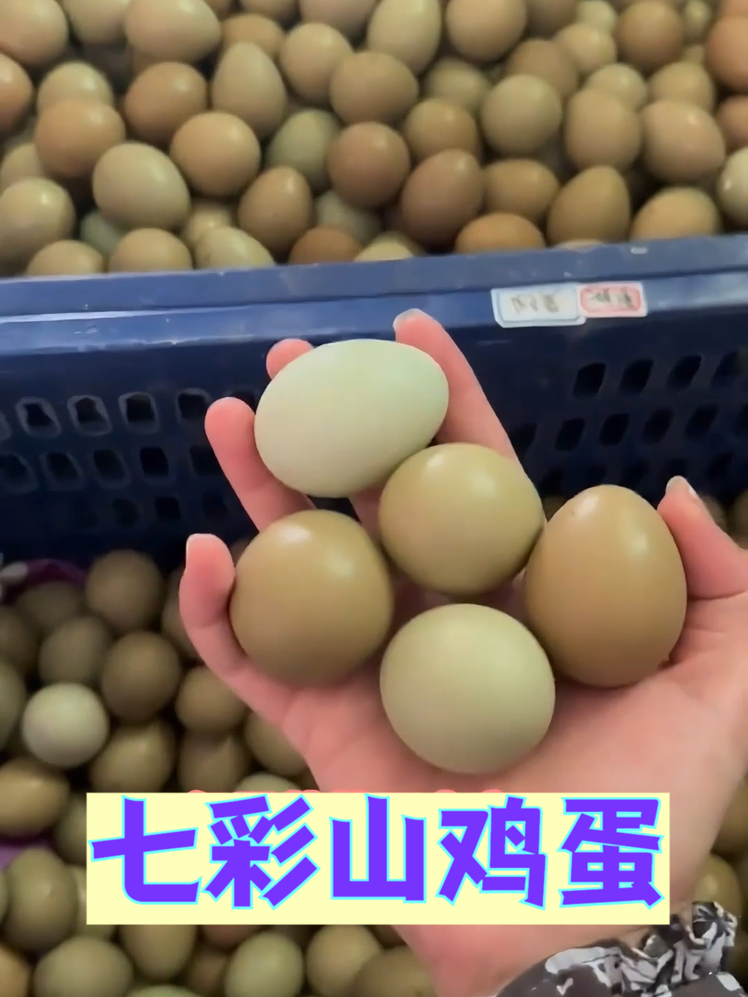 限时折扣,七彩山鸡蛋价格低到超乎想象