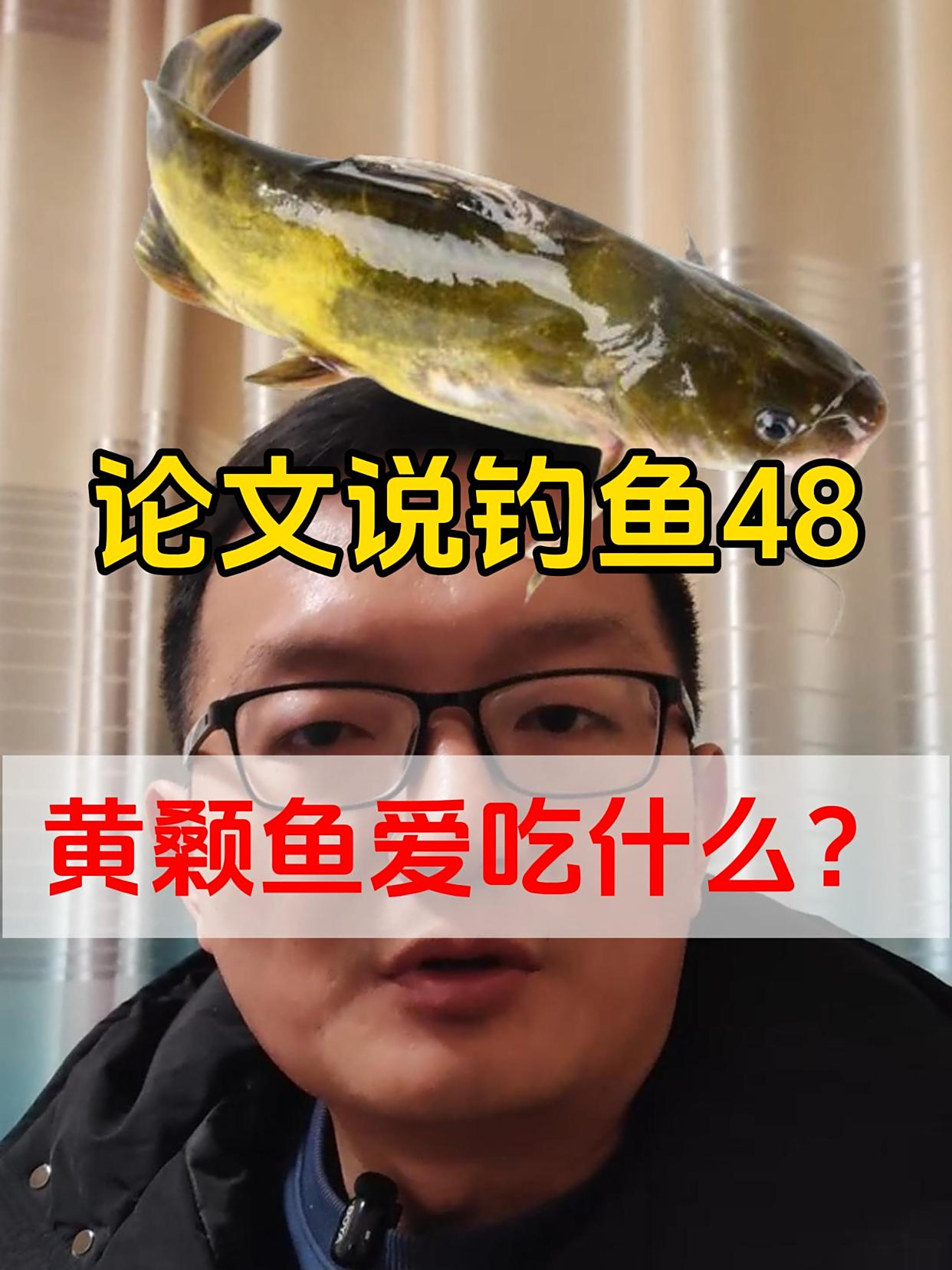 论文说钓鱼48:黄颡鱼爱吃什么?