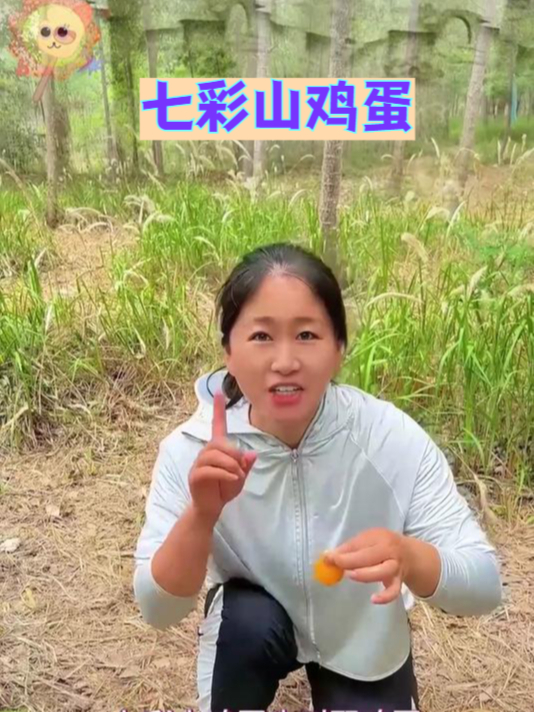 七彩山鸡蛋,天然散养,一口就爱上!