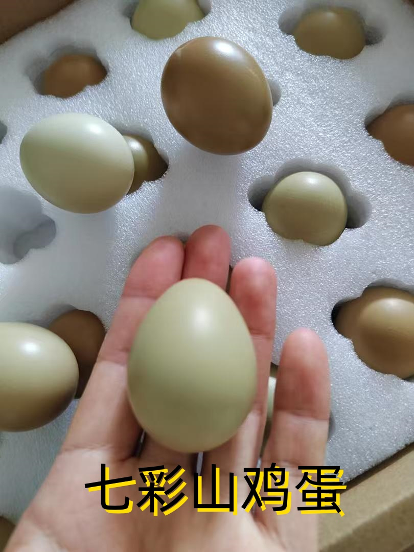 宝宝挑食?七彩山鸡蛋轻松征服小胃口