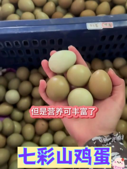 一枚七彩山鸡蛋,营养顶仨普通蛋,买它!
